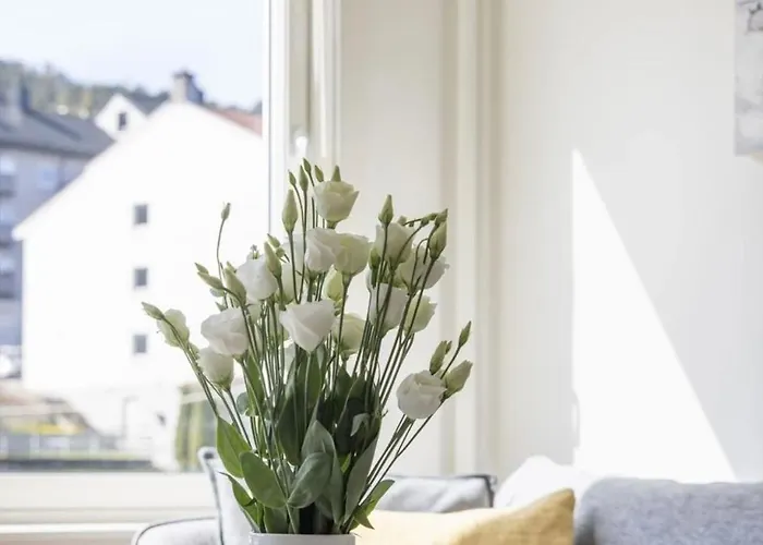 Apartment Modern Only 5 Minutes From Centre